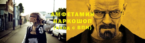 СК Алексин