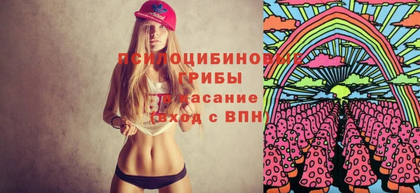 дурь Алзамай
