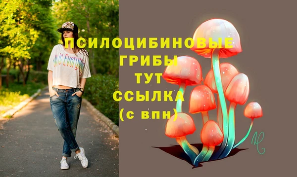 дурь Алзамай
