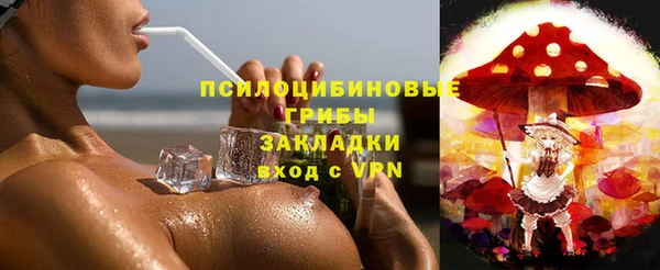 гидра Алексеевка