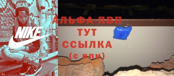 СК Алексин